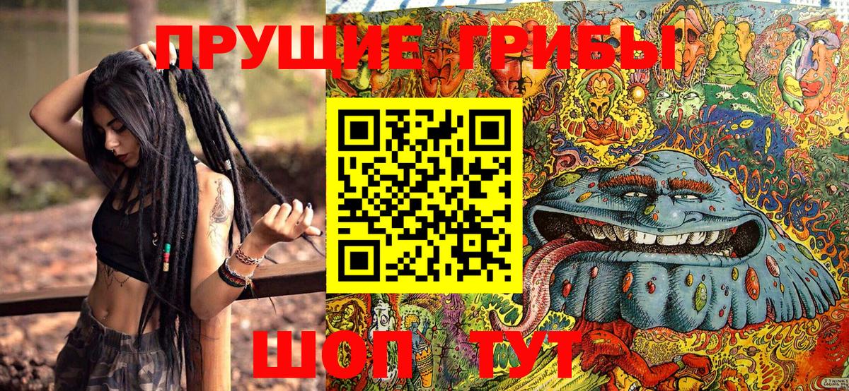 Корсаков  Псилоцибиновые грибы ЛСД  Вход с VPN  Галлюциногенные грибы ЛСД 